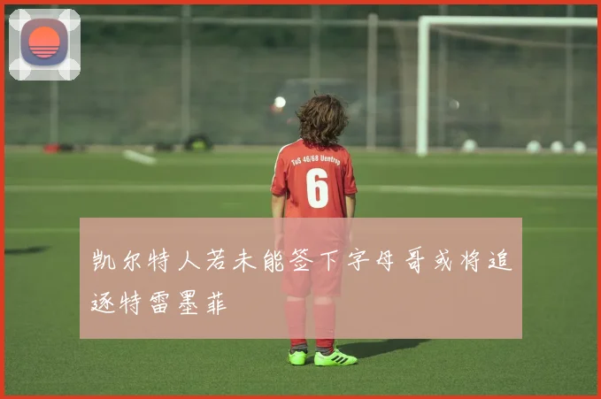 凯尔特人若未能签下字母哥或将追逐特雷墨菲